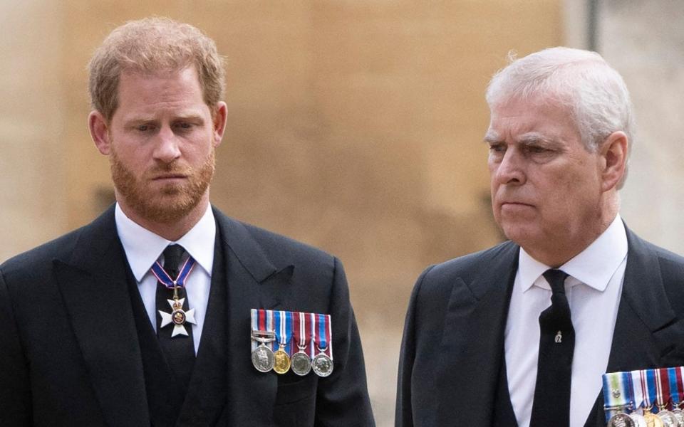 Princes harry and andrew - DAVID ROSE/POOL/AFP via Getty Images