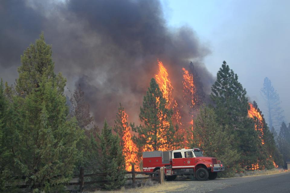 The Mill Fire torched pine trees along a street in the Lake Shastina Subdivision northwest of Weed, California, on Friday, Sept. 2, 2022.