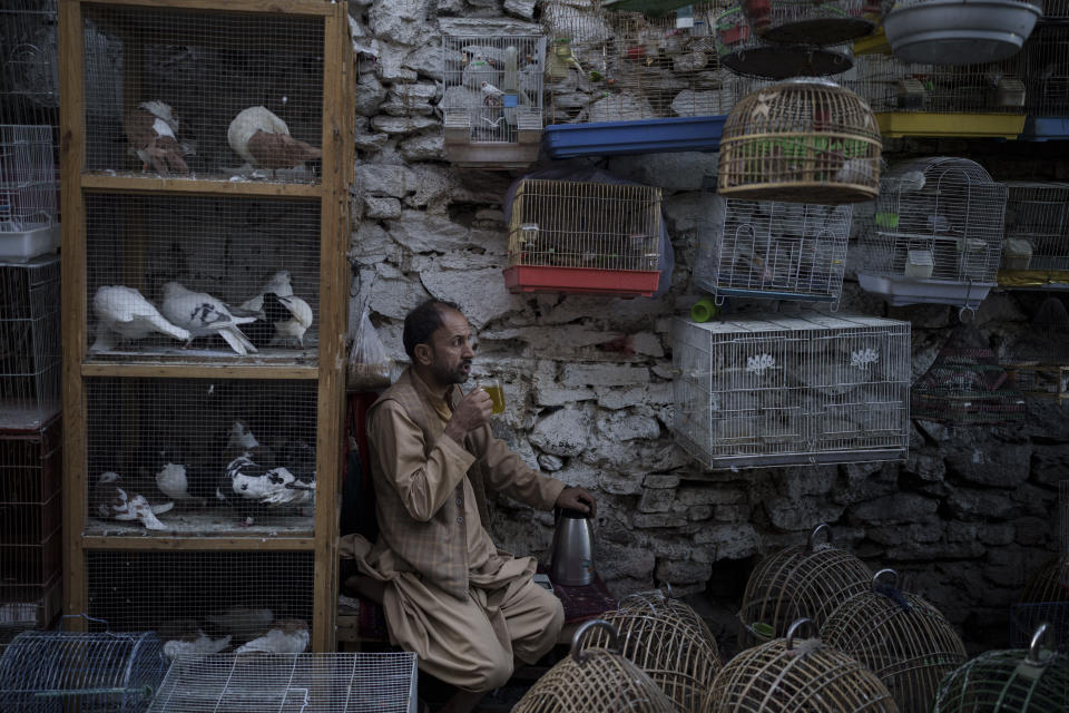 A bird vendor drinks tea as he waits for customers in Kabul's Old City, Afghanistan, Wednesday, Sept. 15, 2021. (AP Photo/Felipe Dana)