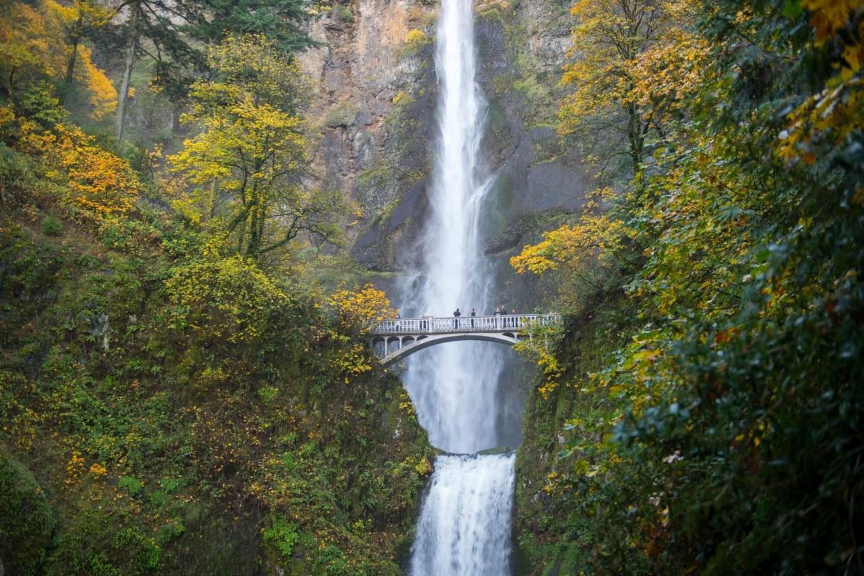OREGON, UNITED STATES - 2014/11/07: View of Multnomah Falls with foot bridge in the fall, a waterfall near Portland along the Columbia River Gorge in Oregon, USA. (Photo by Wolfgang Kaehler/LightRocket via Getty Images)