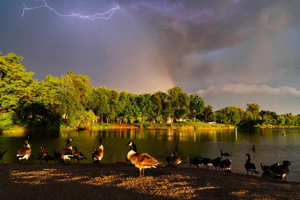 Lightning flashes, a rainbow forms, and Canada geese gather along the beach at Quinn’s Pond on Tuesday in Boise during a flash thunderstorm that dropped up to 1.5 inches of rain in less than 90 minutes in parts of downtown. Hail was also reported.