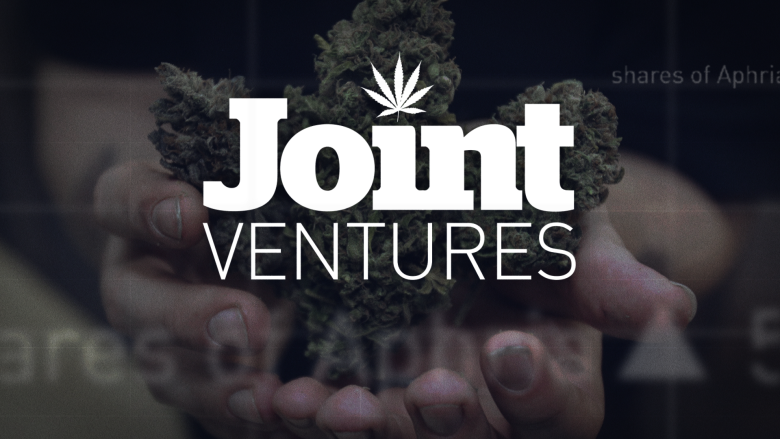 Joint Ventures: How small-time investors handle the highs and lows of cannabis stocks