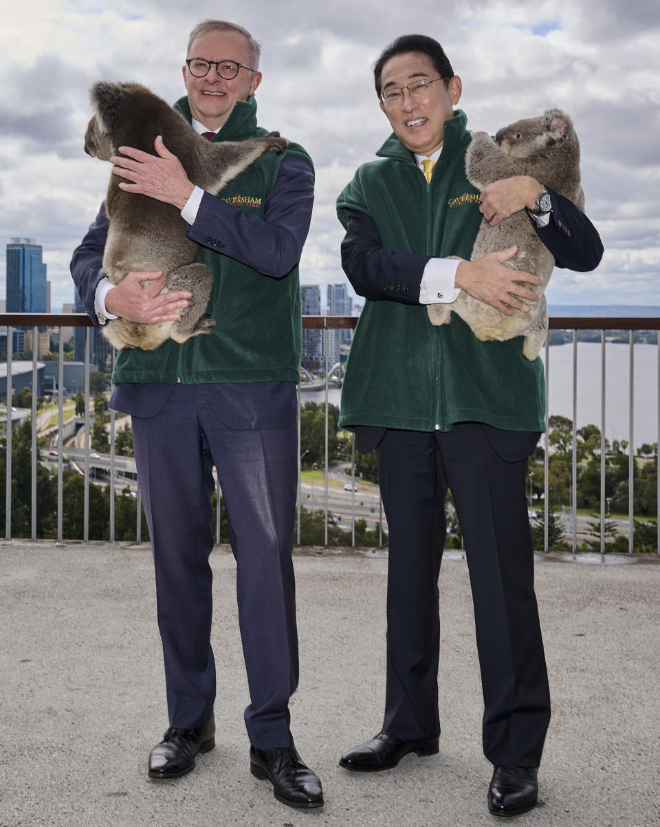 Japan's Prime Minister Fumio Kishida, right, and Australian Prime Minister Anthony Albanese hold koalas during a visit to Kings Park in Perth, Australia, Saturday, Oct. 22, 2022. Kishida is on a visit to bolster military and energy cooperation between Australia and Japan amid their shared concerns about China. (Stefan Gosatti/Pool Photo via AP)