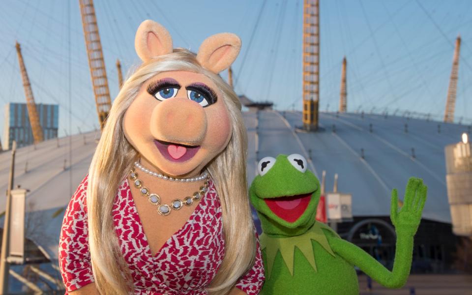 Und wenn wir gerade bei Stars sind: Auch Kermit der Frosch ist Linkshänder. Woran das liegt? Die meisten Puppenspieler sind Rechtshänder und bedienen daher mit ihrer Rechten den Körper. Bleibt die Linke für die Hand. (Bild: Antony Jones/Getty Images for AEG - The o2)