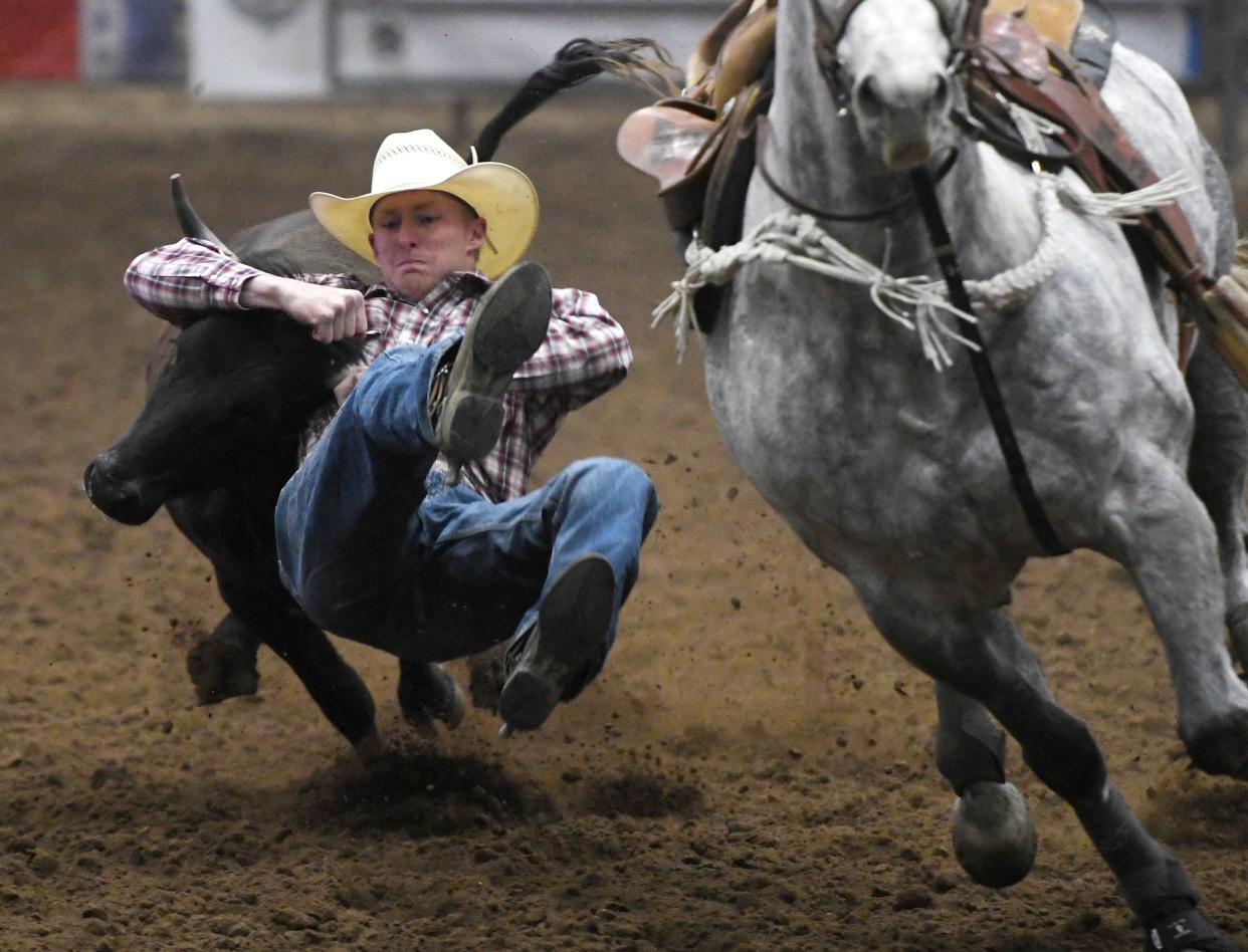 Steer wrestler Seth Peterson competes in last year's ABC Pro Rodeo. The annual event gets going again with performances Thursday, Friday and Saturday at the Mallet Event Center and Arena in Levelland.