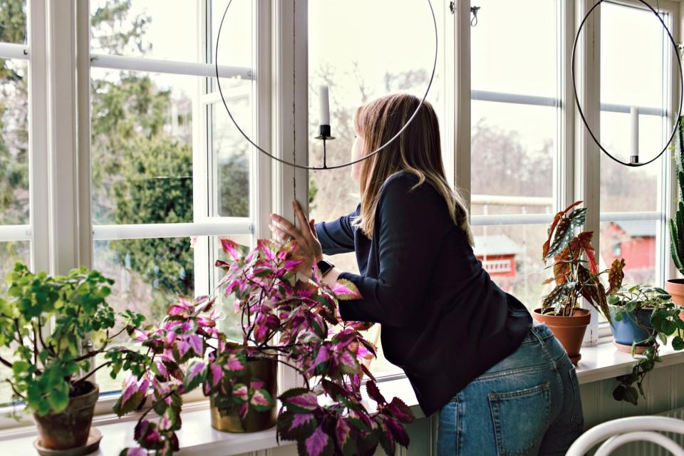 person closing window next to various plants