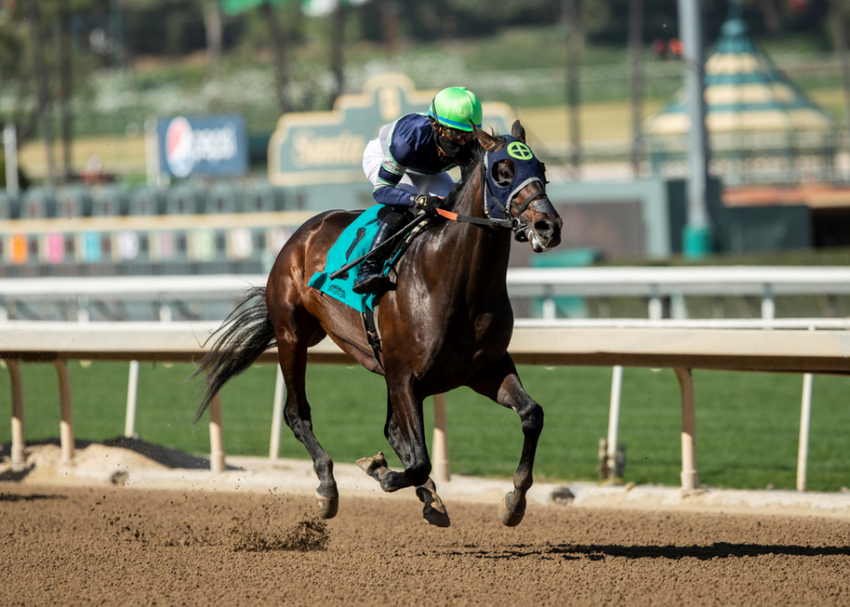 Dream Shake and jockey Joel Rosario win a maiden special weight on Feb. 7 at Santa Anita Park.