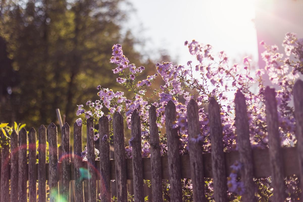 20. Wooden Fences: A Classic Choice for Traditional Charm