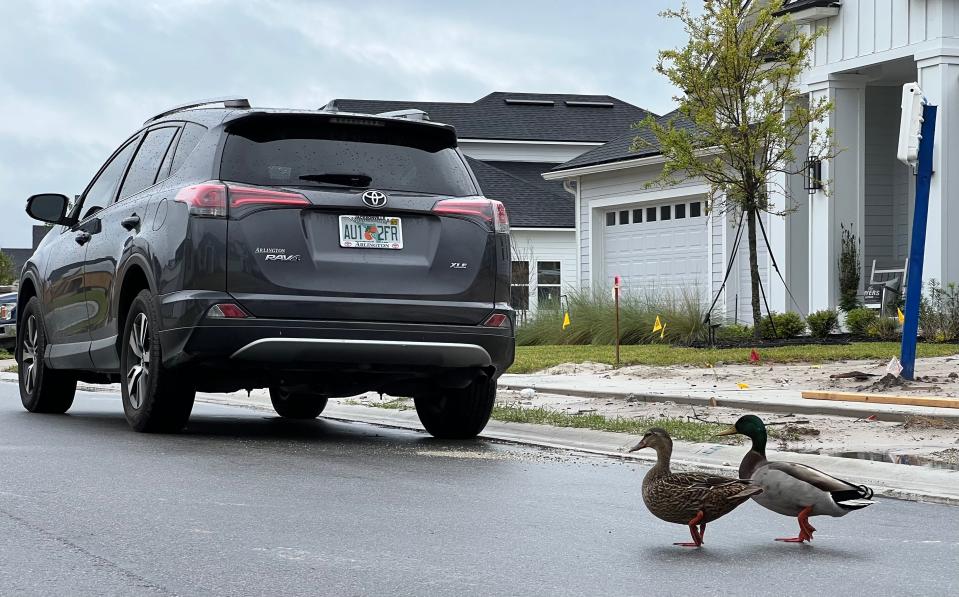 Ducks cross a street where several new homes are under construction at Hutson Companies' massive 8,500-acre SilverLeaf community in St. Johns County off of County Road 16A on Monday, March 13, 2023.