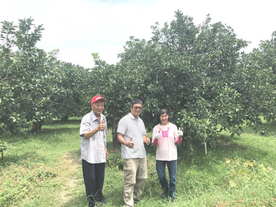 隨著年紀漸長，郭玉飛的小兒子將在退休後接管柚園，為父母分擔工作。（記者盧萍珊攝）