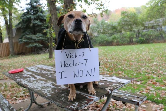 Last surviving dog from Michael Vick's dogfighting ring dies