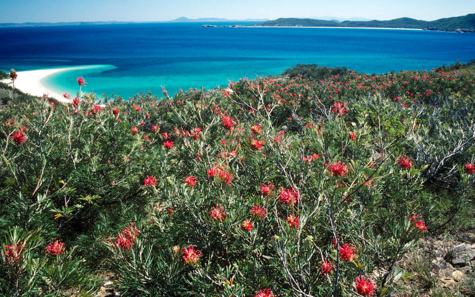 No. 13 Great Barrier Reef Islands