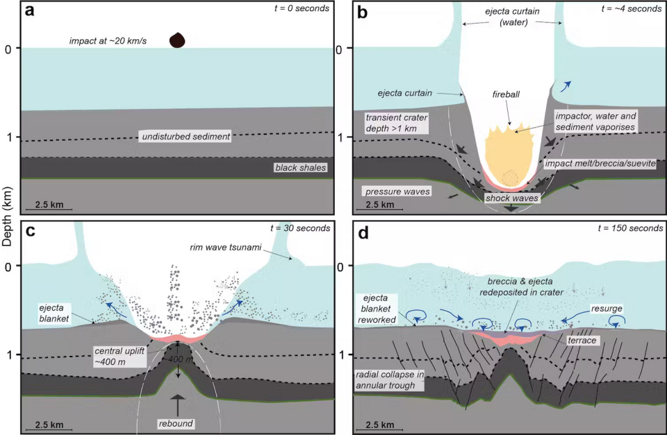 結合地震觀測和計算機模擬的圖表，說明了隕石坑的形成方式。   圖：翻攝自《科學進展》網站