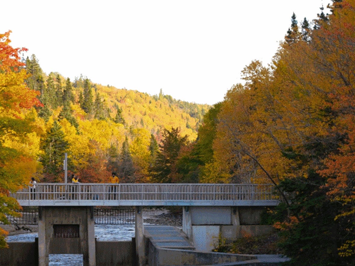 This animation features fall scenes in Corner Brook, N.L., Toronto, Vancouver and Hamilton's Waterdown community taken in recent days.   (Troy Turner/CBC, Evan Mitsui/CBC, Ben Nelms/CBC, Patrick Morrell/CBC - image credit)