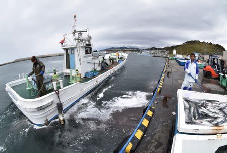 Fishermen work at a port in Erimo Town, on Japan's northern island of Hokkaido, October 12, 2017. Picture taken October 12, 2017. Picture taken with a fisheye lens. REUTERS/Malcolm Foster