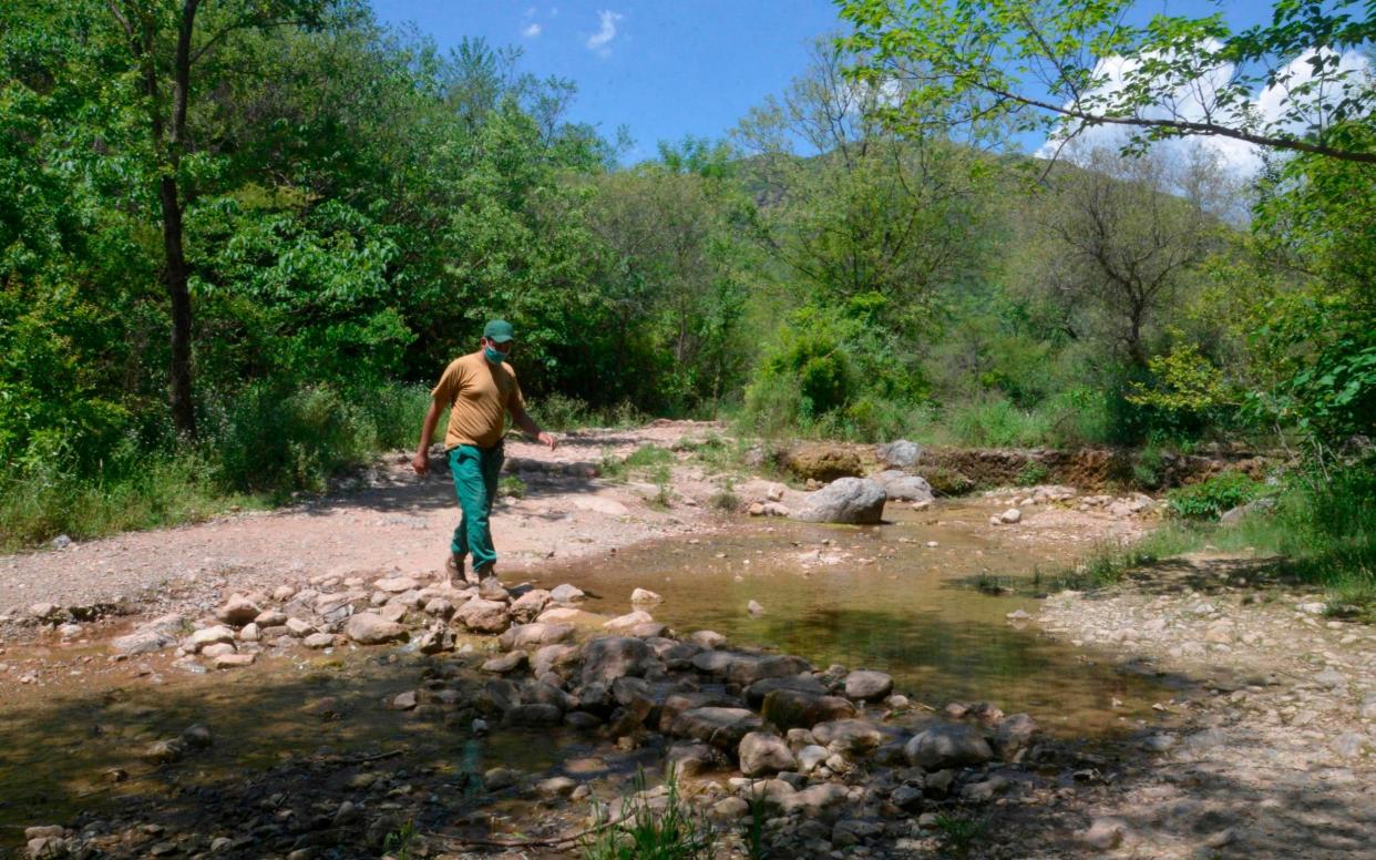 Islamabad Wildlife guard Imran walks on the hiking trails on Margalla Hill National Park after checking the hiding cameras to observe animals movement during the government-imposed nationwide lockdown as a preventive measure against the spread of the COVID-19 coronavirus, in Islamabad. - AFP