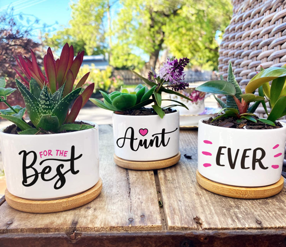 29) Best Aunt Ever Planters