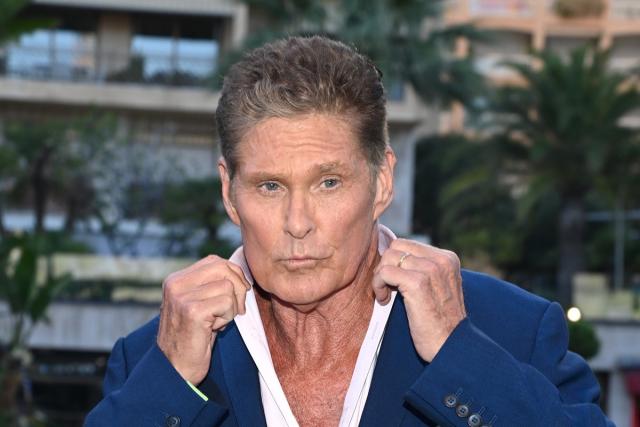 David Hasselhoff - Age, Bio, Birthday, Family, Net Worth