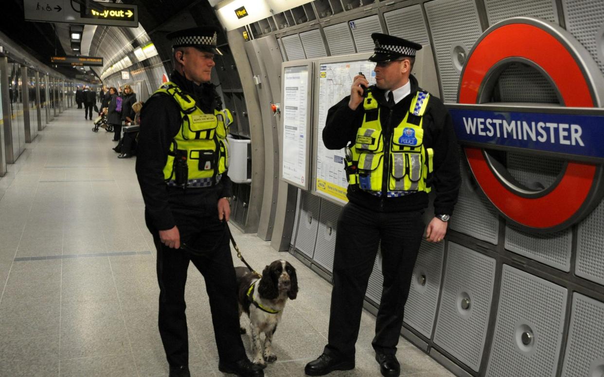 Four 15-minute patrols on Tube platforms each day, four days a week, caused a drop in crime - PA