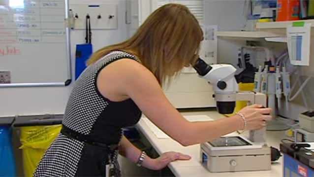 An Australian company as created an incubation machine with timelapse photography that allows scientists and potential parents to watch their embryos grow in their first crucial few days. Photo: 7News