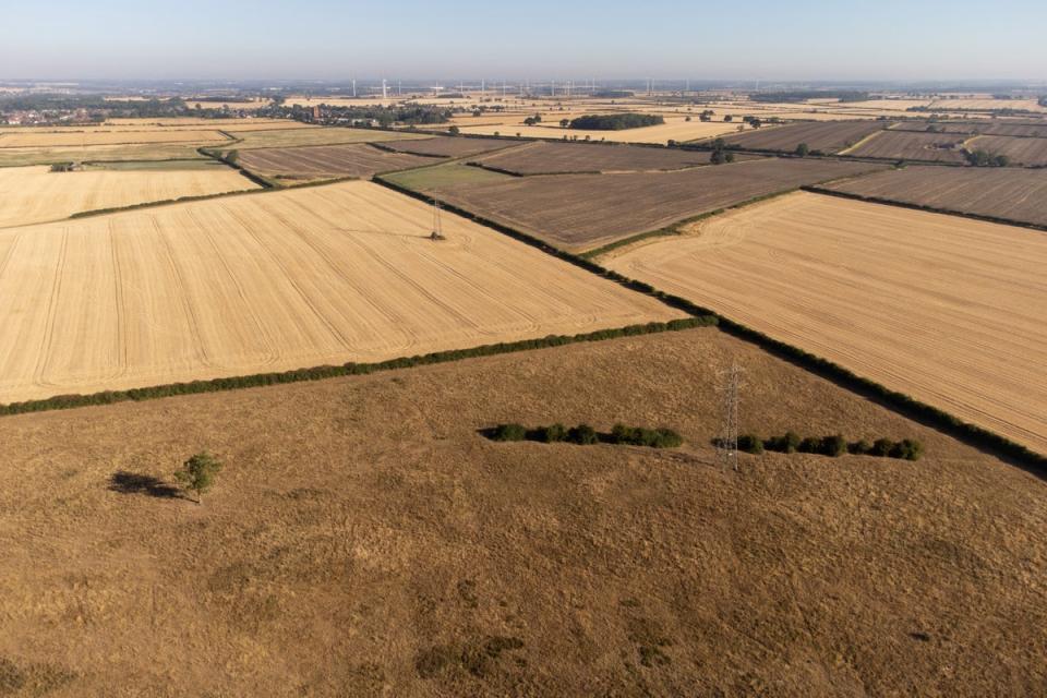 Parched fields and meadows in Finedon, Northamptonshire (PA Wire)