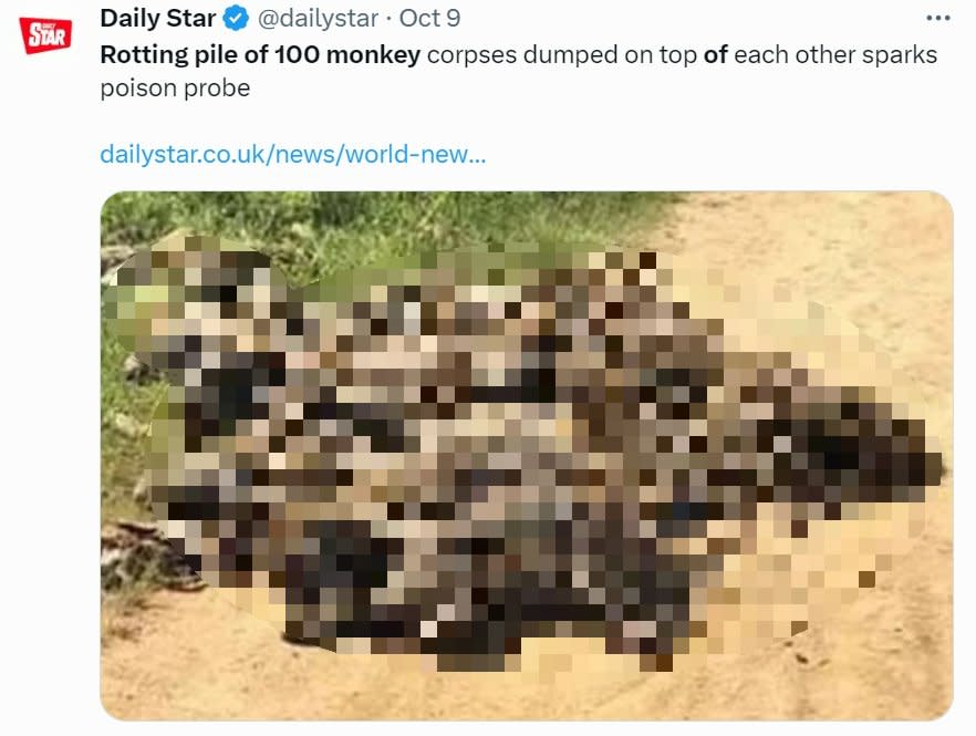 專家推測猴子死亡恐是人為導致。（圖／翻攝自 X@Daily Star）
