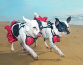 <p>Dizzie and Dottie, Chihuahua mixes, Huntington Beach Dog Beach, Calif. (Photograph by Lara Jo Regan) </p>