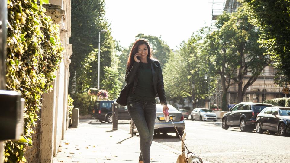 Woman walking dog while on the phone