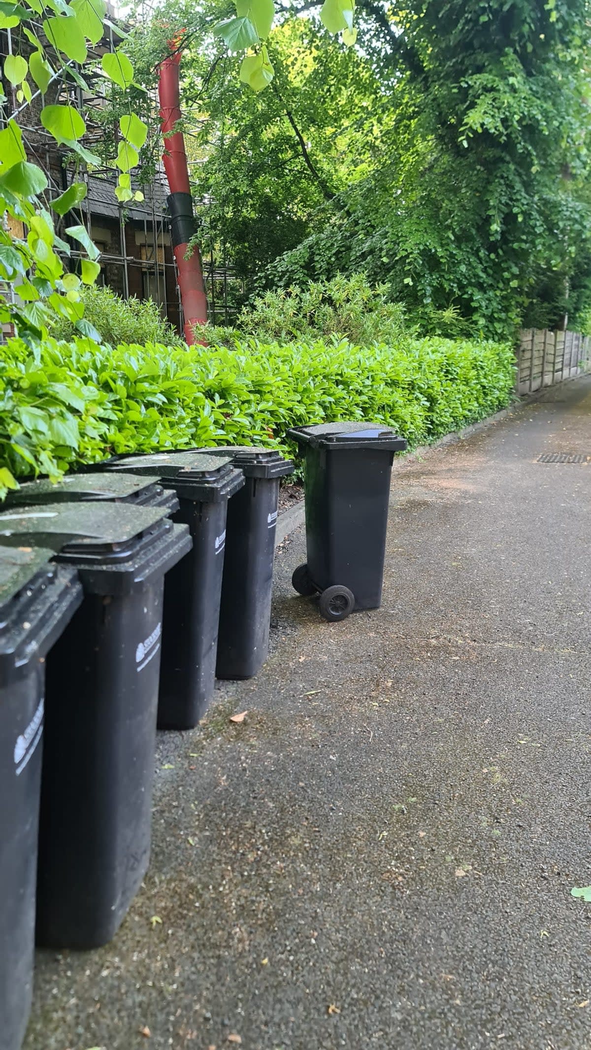 Josh said he returned the bin to ‘roughly’ where it was before when he went to look for the Buddha (Joshua ‘Josh’ Val Martin)