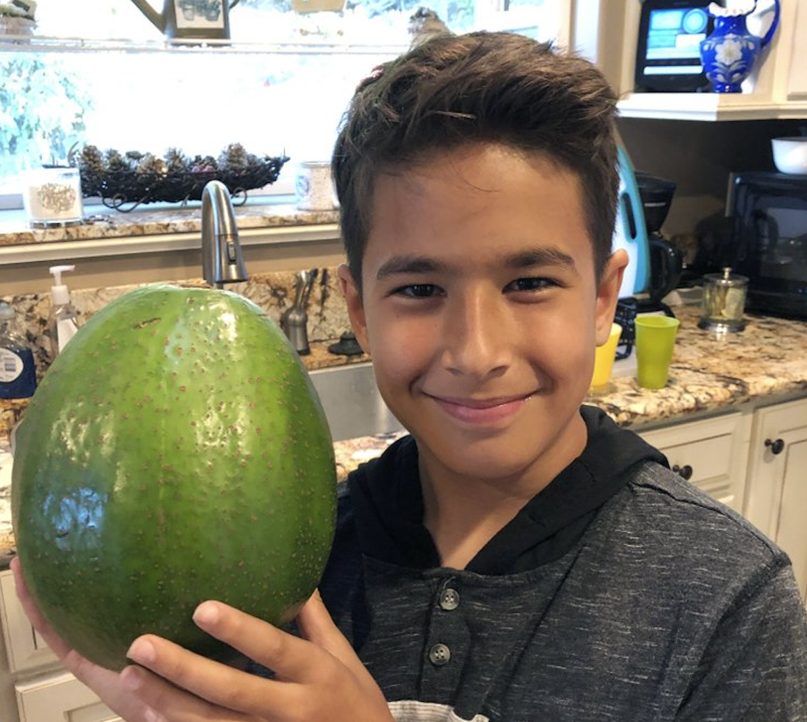 The Pokini family won the Guinness World Record for heaviest avocado weighing 5.6 pounds