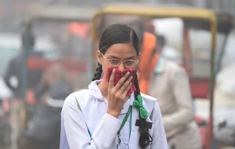 A pedestrian in Delhi during last year's pollution peak - Credit: AFP/SAJJAD HUSSAIN