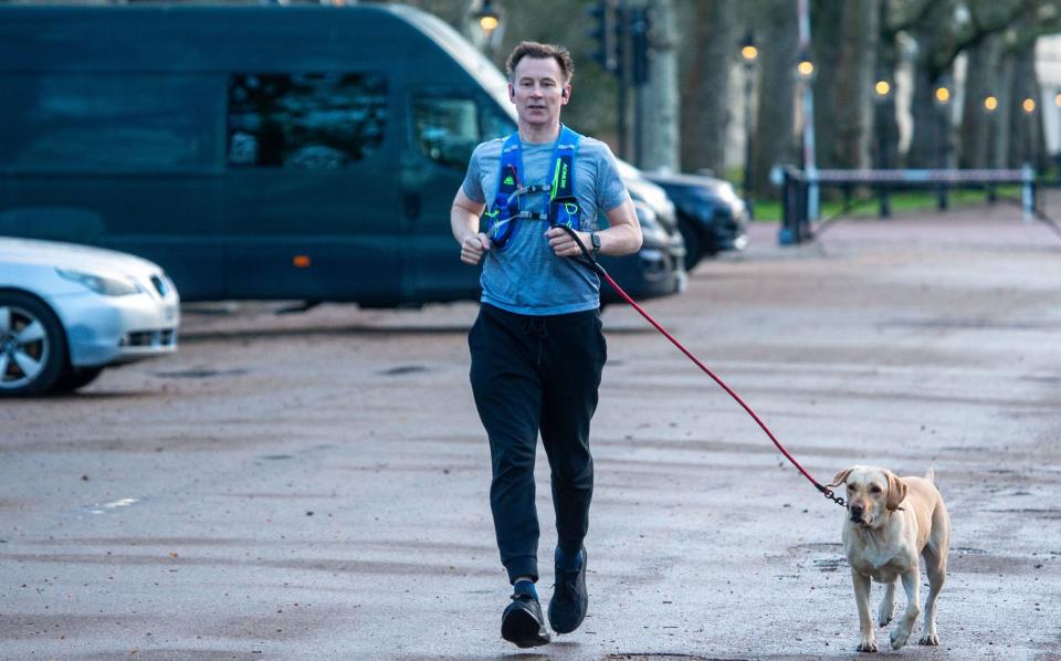 Jeremy Hunt is pictured this morning in Westminster running with his dog Poppy