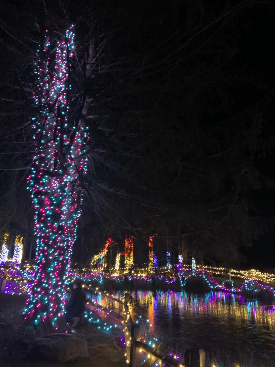 Over 70,000 lights displayed on more than four acres has transformed the Red Apple Farm in Phillipston into an electric winter wonderland.