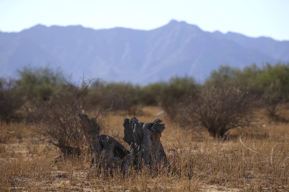 The parched landscape has gotten very little moisture from this monsoon season Monday, Sept. 30, 2019, in Phoenix. The monsoon season runs from mid-June through the end of September, characterized by a shift in wind patterns and moisture being pulled in from the tropical coast of Mexico, but this monsoon season was Phoenix's fifth driest recorded. (AP Photo/Ross D. Franklin)