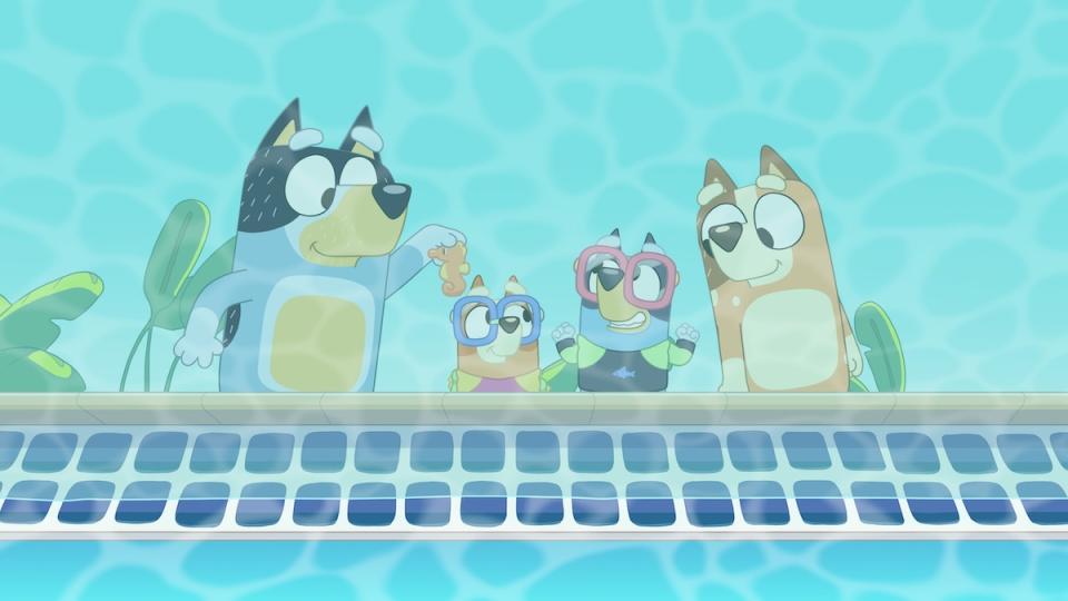 the pool bluey every episode ranked worst best