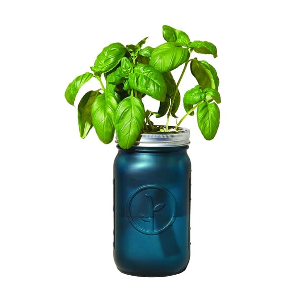 <p><a href="https://go.redirectingat.com?id=74968X1596630&url=https%3A%2F%2Fgoop.com%2Fmodern-sprout-garden-jar-basil%2Fp%2F%3Ftaxon_id%3D1493%26variant_id%3D108839&sref=https%3A%2F%2Fwww.esquire.com%2Flifestyle%2Fg41531135%2Fbest-gifts-under-50%2F" rel="nofollow noopener" target="_blank" data-ylk="slk:Shop Now;elm:context_link;itc:0;sec:content-canvas" class="link ">Shop Now</a></p><p>Garden Jar</p><p>goop.com</p><p>$25.00</p>