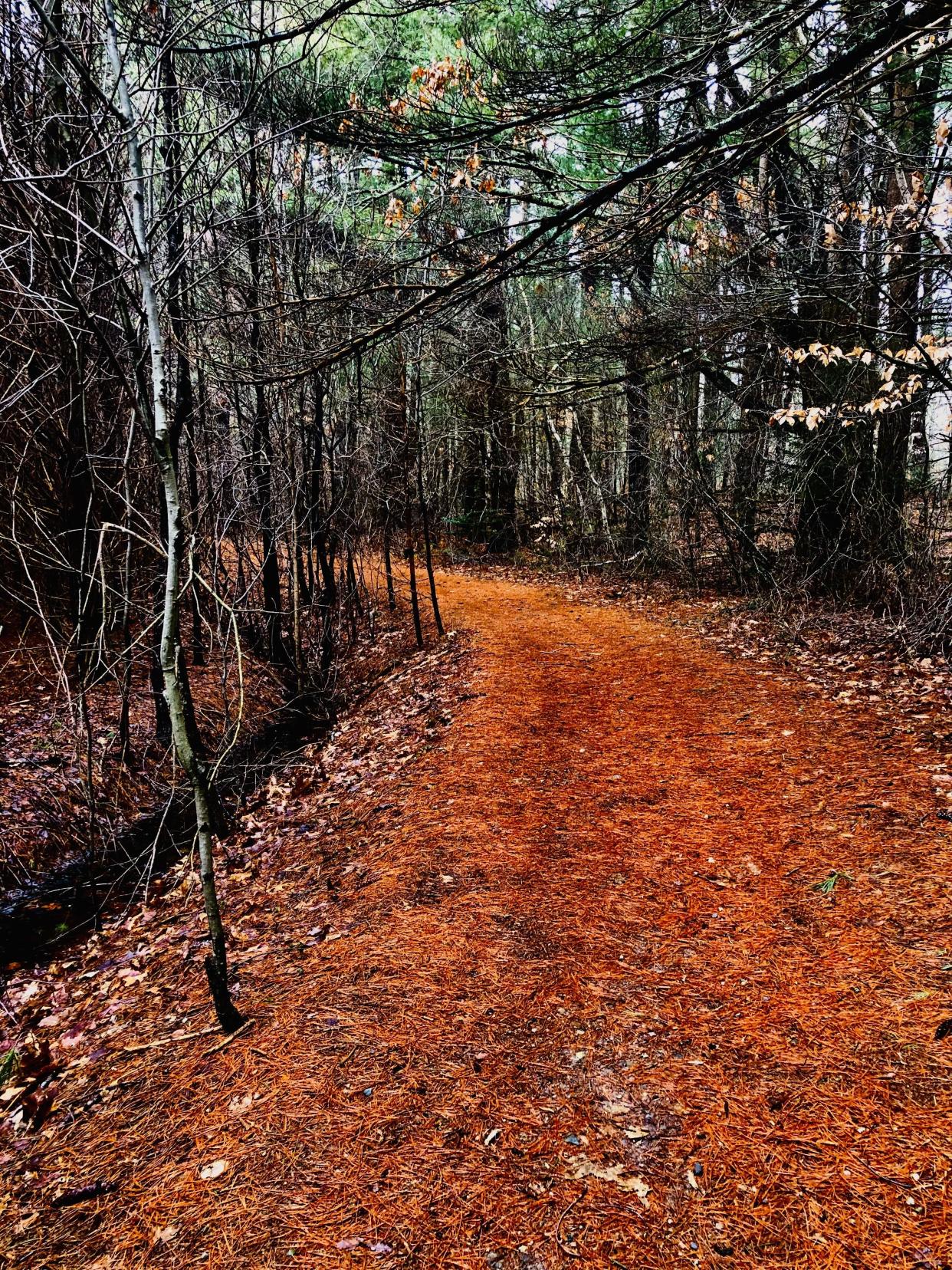 Forge Pond Park in Hanover has some beautiful trails that run behind the athletic fields.