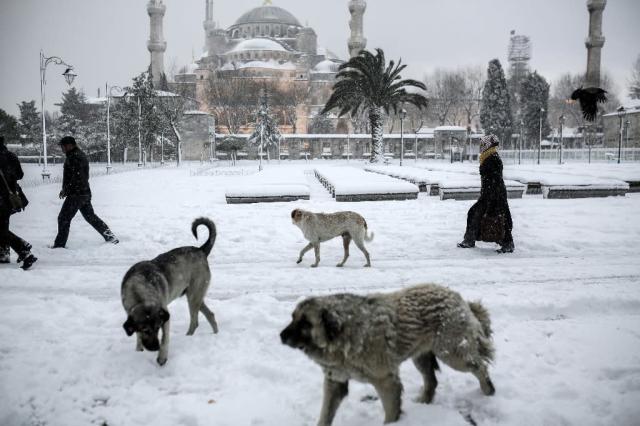 hundreds of flights grounded as snow blankets istanbul