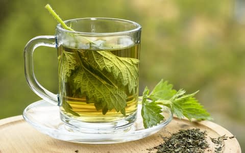 Nettle tea