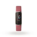 <p>Product render of Fitbit Luxe, front view, in Orchid and Platinum.</p> 