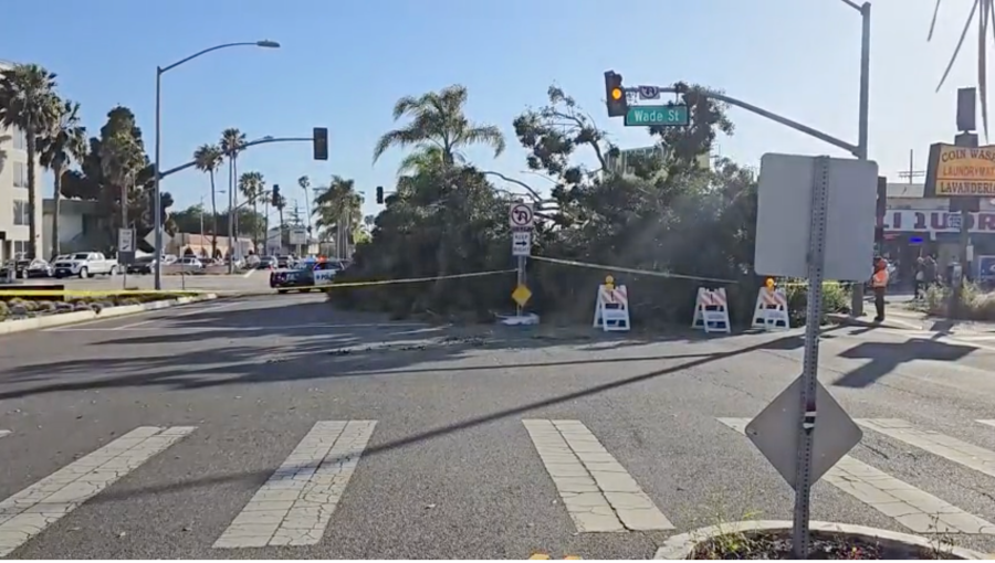 Strong winds caused a large tree to come down in Culver City, near the intersection of Washington Boulevard and Wade Street. The tree caused severe damage to three vehicles, but no one was injured on May 5, 2024. (KTLA)