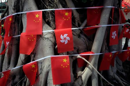 Chinese national flags and Hong Kong flags (C) are tied to a tree to celebrate the upcoming 20th anniversary of the territory's handover to Chinese rule, at a village in Hong Kong, China June 24, 2017. REUTERS/Bobby Yip