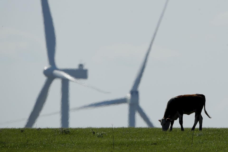 The U.S. Energy Information Administration said on March 29, wind turbines in the continental U.S. produced  19% of U.S. energy that day.