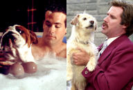 <b>Van Wilder (2002)</b> AND <b>Anchorman: The Legend of Ron Burgundy (2004) </b><br> <b>Scene:</b> Both Ryan Reynolds and Will Ferrell kiss a dog in socially-inappropriate ways.<br> <b>Why It Works:</b> It's so wrong it's right.