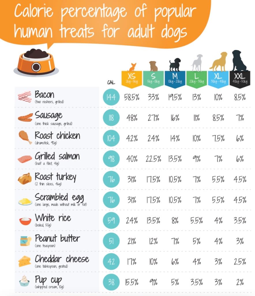 Melvin advised making sure your pets have filling, balanced meals and have their food in moderation — and cut back on human food for treats. Pet Range