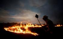 Pictures of the Year: Fires in the Amazon: a barrier to climate change up in smoke