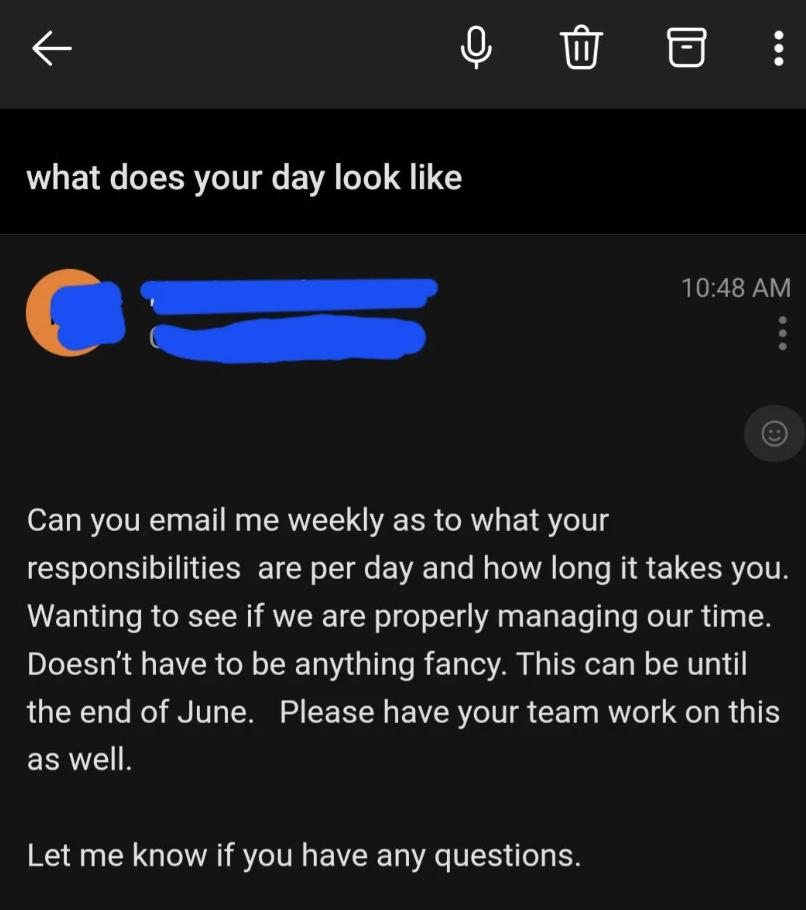 Email screenshot with the subject line "what does your day look like." The email asks for a weekly update on tasks and duration for managing time, mentioning the end of June