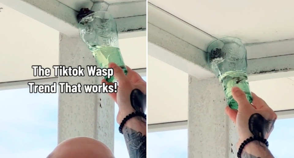 Screenshots from the TikTok showing a man using a cup of petrol to kill wasps.
