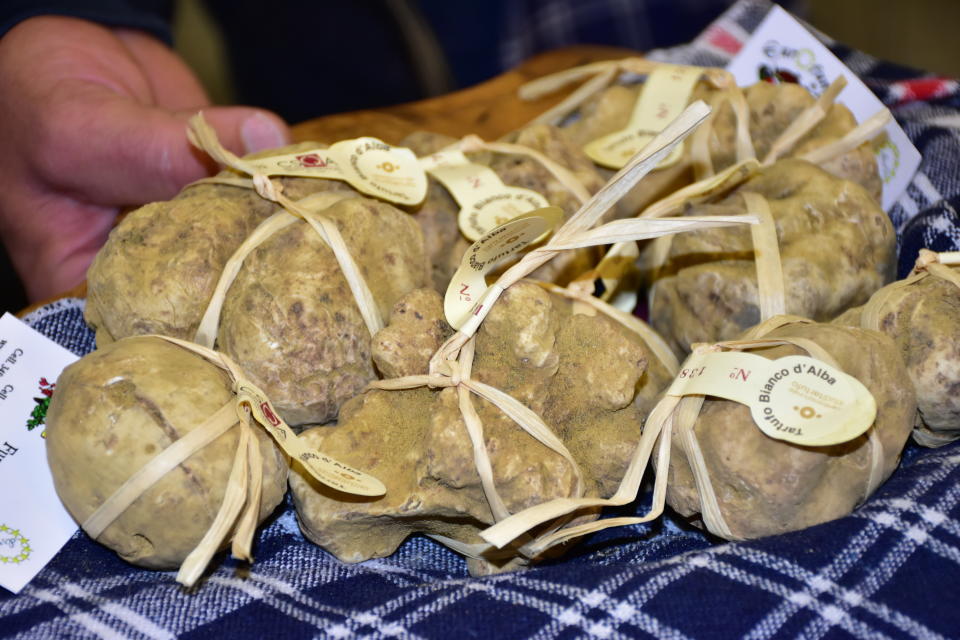 In this photo taken on Saturday, Nov. 9, 2019, a close-up of white truffles collected during cool November weather, which yields some of the most fragrant of the highly prized Tuber magnatum Pico. (AP Photo/Martino Masotto)