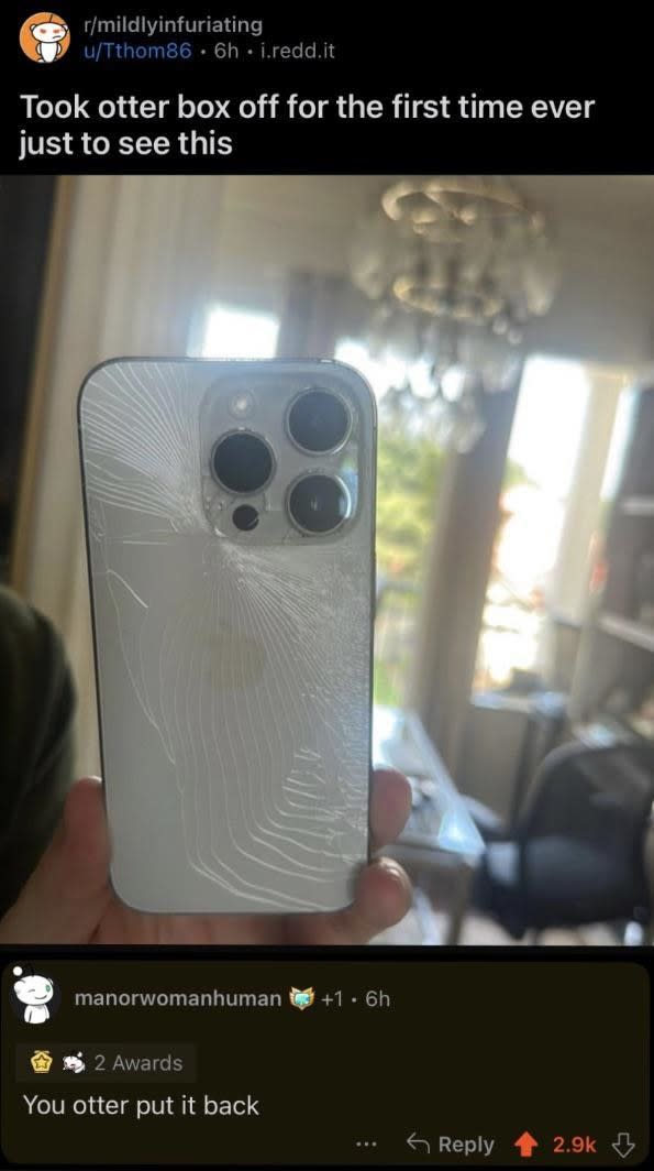 Person holding an iPhone with cracks with text "Took this otter box off for the first time just to see this," and person responds "You otter put it back"